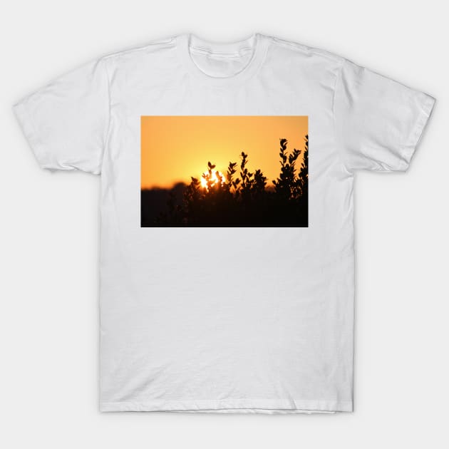 Rising Sun T-Shirt by Cynthia48